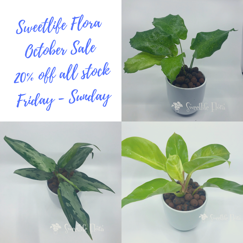 Sweetlife Flora | 520 Robertson Line, Arnprior, ON K7S 3G9, Canada | Phone: (613) 532-1756