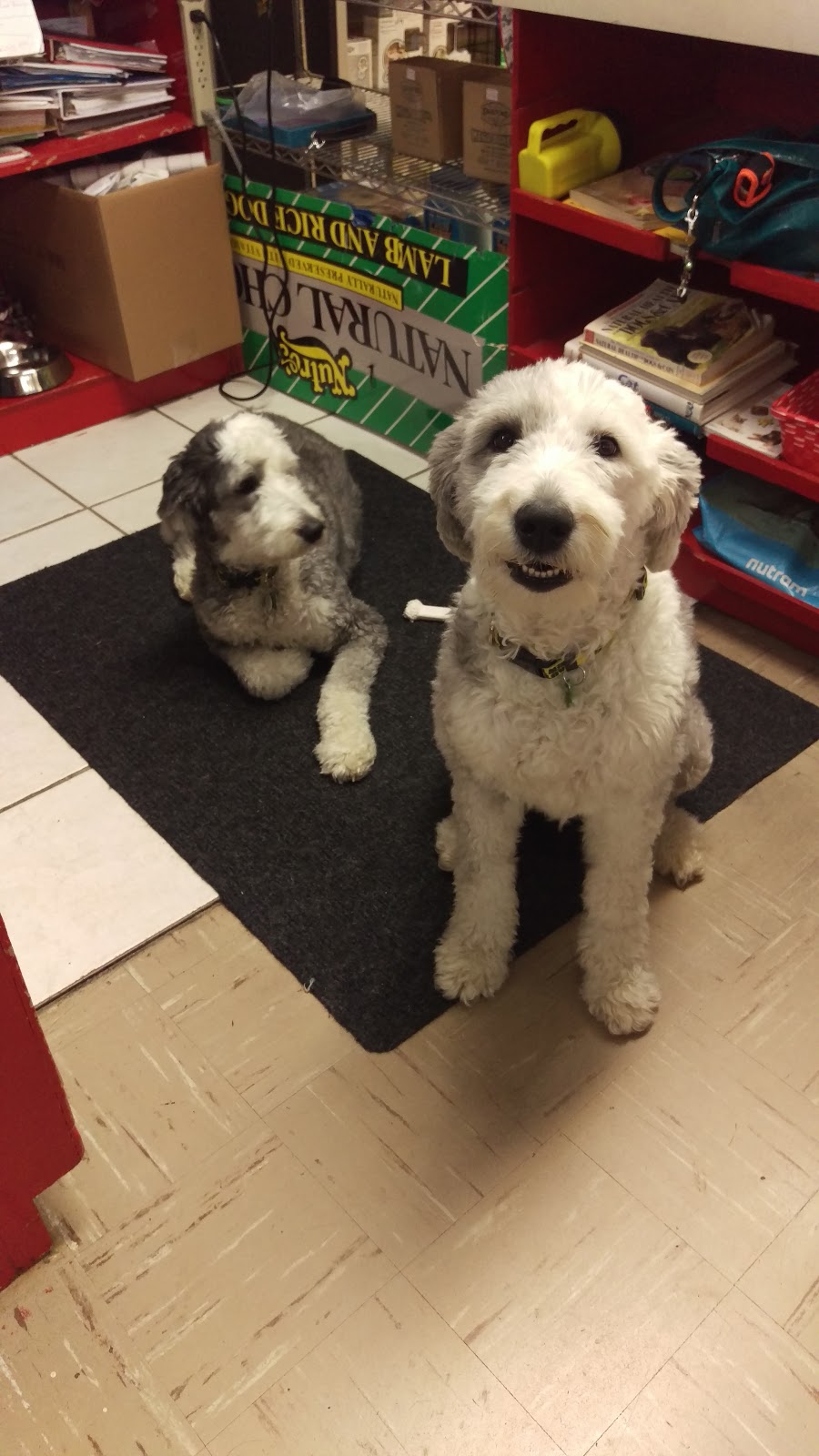 Pet Food Outlet | 824 Ontario Rd, Welland, ON L3B 5E2, Canada | Phone: (905) 735-7387