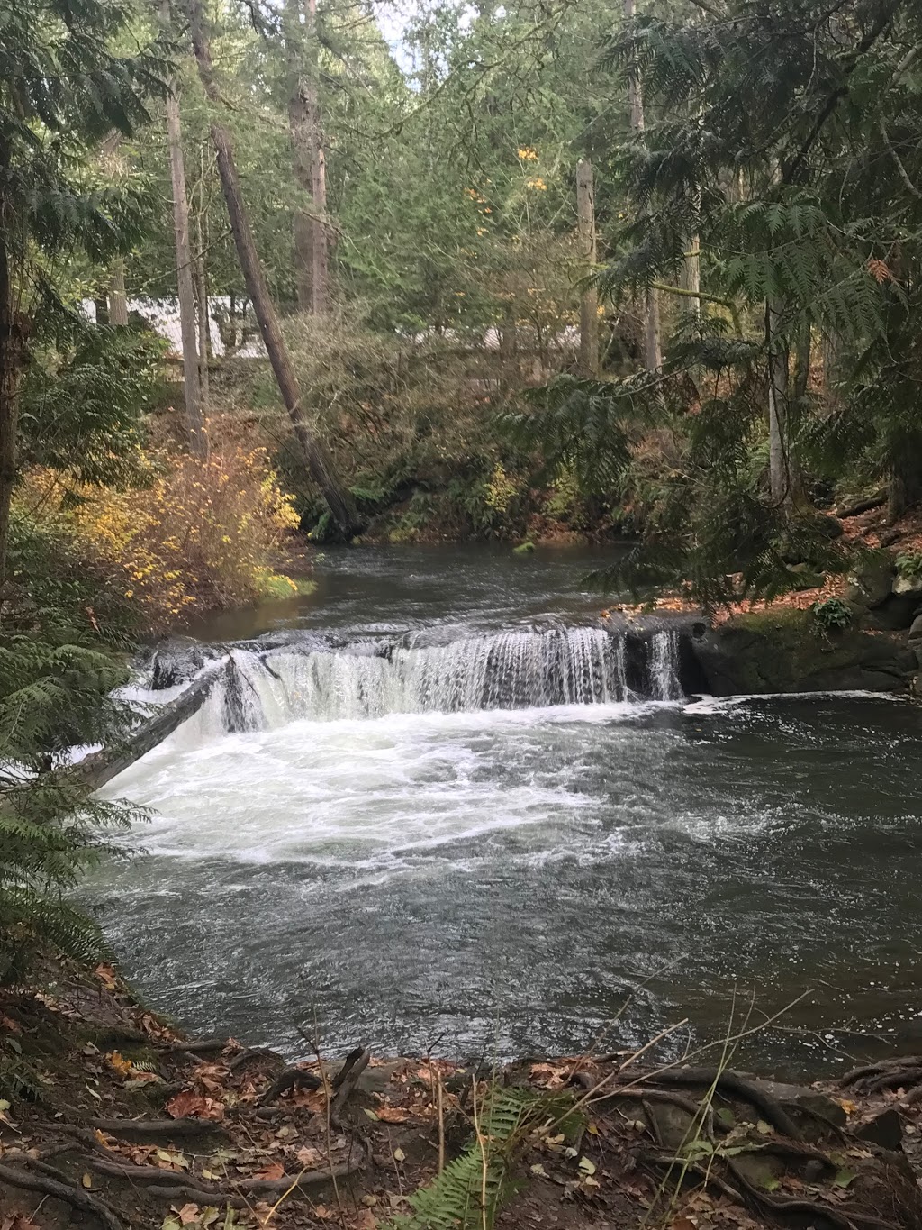 whatcom falls park parking | 1552-1574 Silverbeach Rd, Bellingham, WA 98229, USA