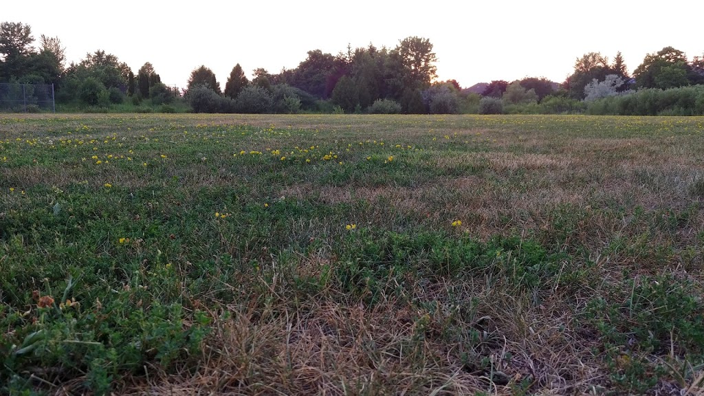 White Oak Parkette | Springbrook Dr., W. of Bayview Av & N. of Bantry Ave., Richmond Hill, ON L4B 3R3, Canada | Phone: (905) 771-8800