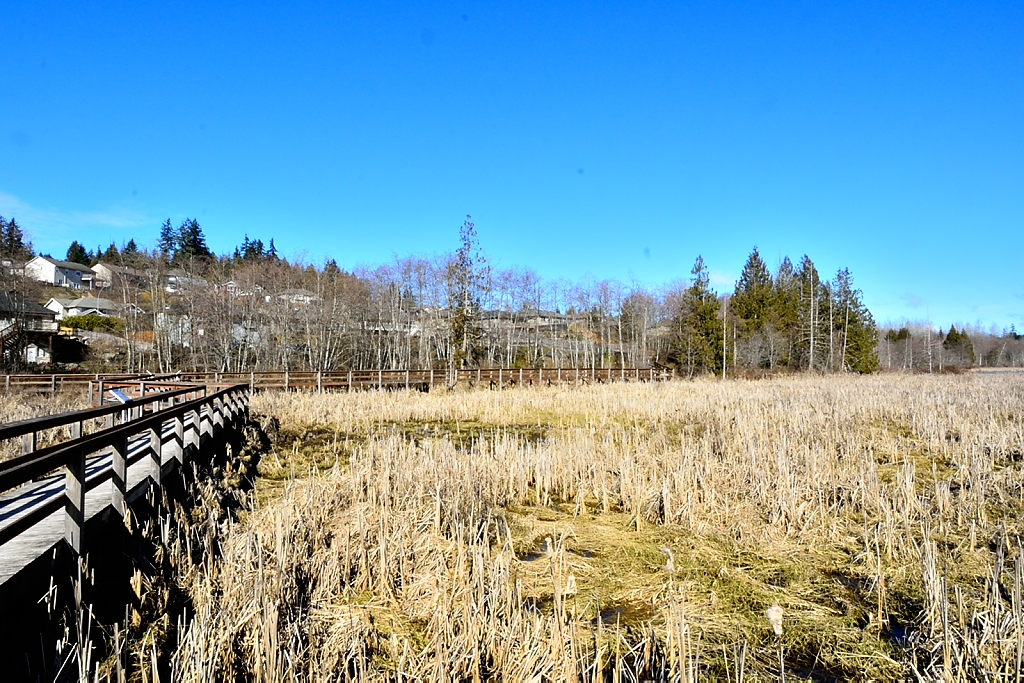 Richards Marsh Park | 1921 Kells Bay, Nanaimo, BC V9X 1H1, Canada | Phone: (250) 756-5200