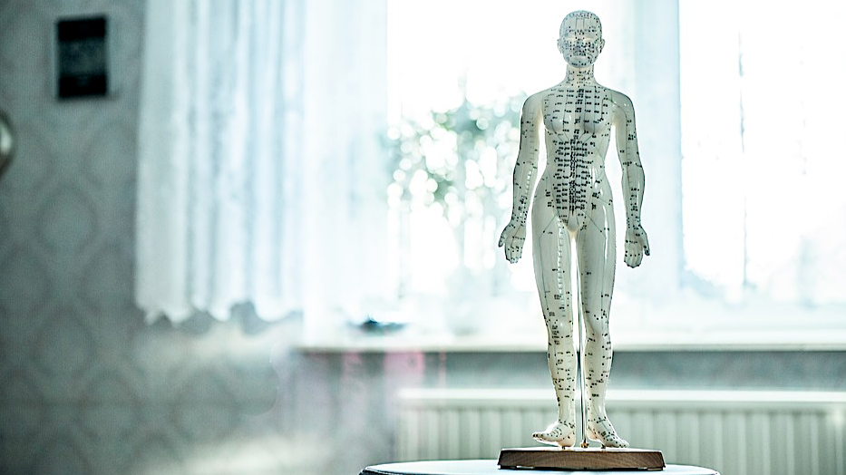 Geneviève Goudreault Acupuncteure | 180 QC-170, LAnse-Saint-Jean, QC G0V 1J0, Canada | Phone: (418) 272-2722