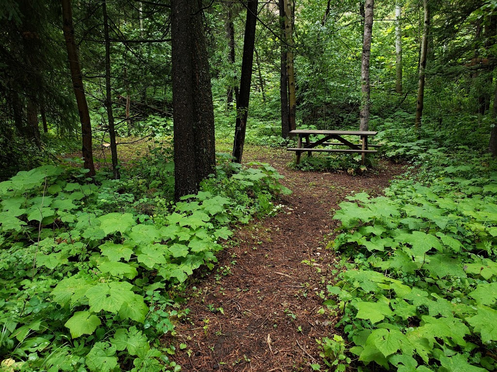 Adanac Adventures | 1699 East Hillcrest Drive, Hillcrest Mines, AB T0K 1C0, Canada | Phone: (403) 399-2331