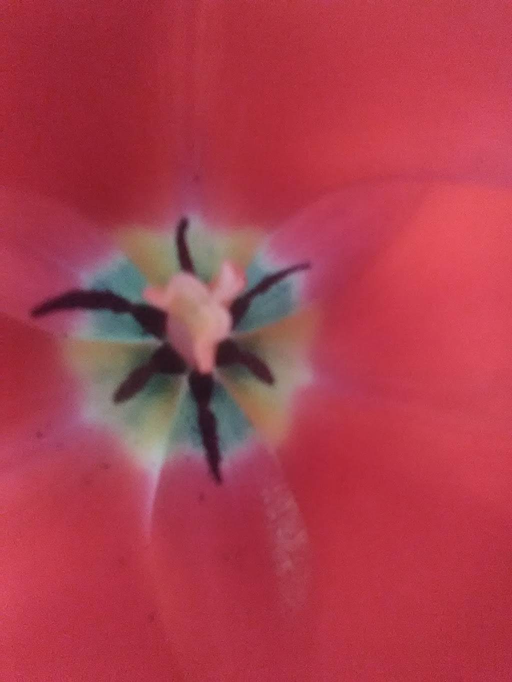 Les Ateliers Argil'Art 70 38e Av, SainteMarthesurleLac, QC J0N