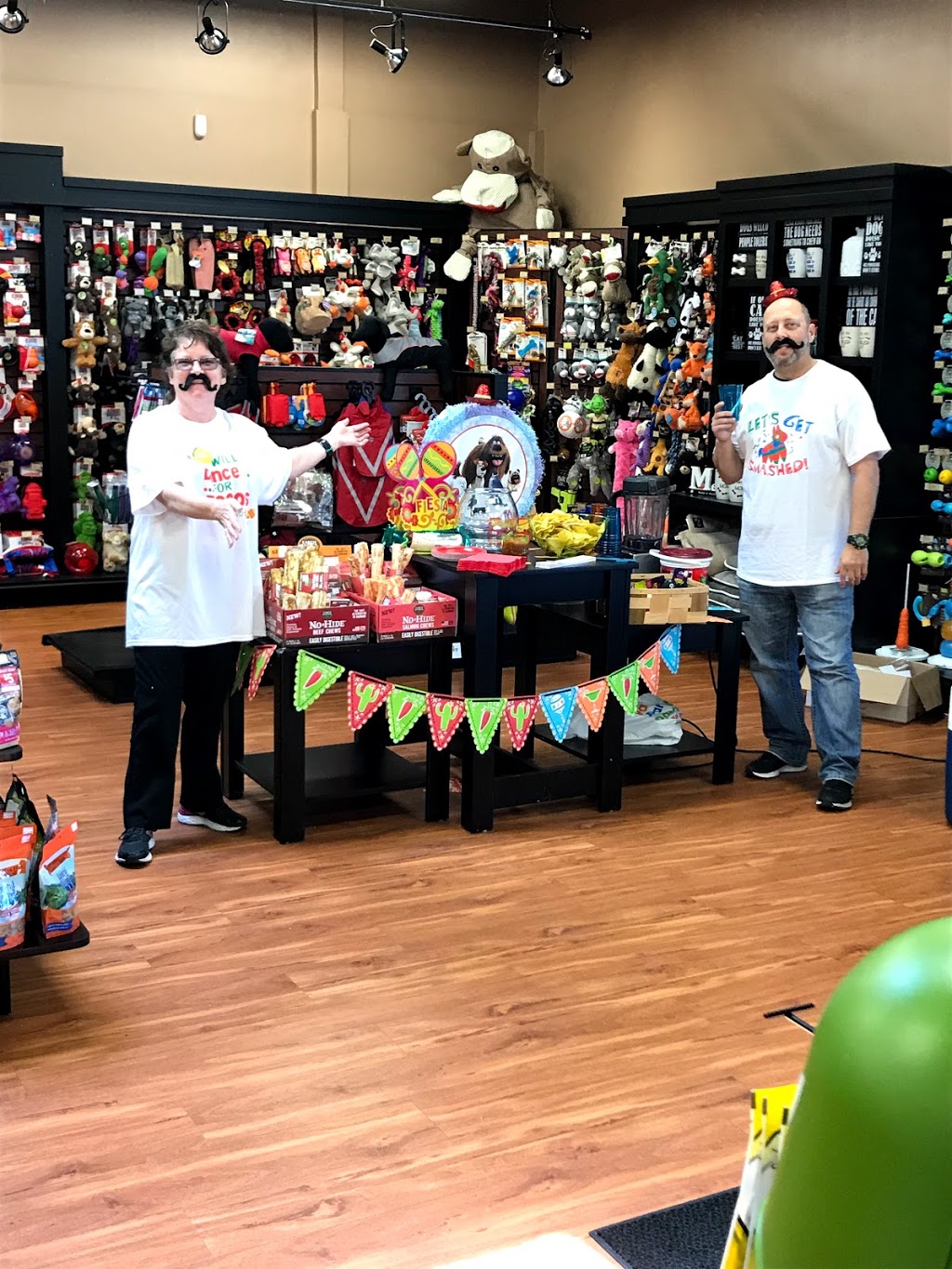 Pet Valu | 707 River Rd W, Wasaga Beach, ON L9Z 1N7, Canada | Phone: (705) 429-8686