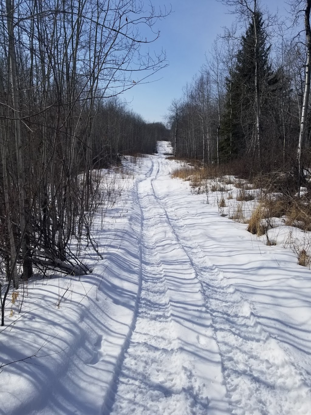 Gunn Area Recreation Society | 110 55022 Ste Anne Trail, Gunn, AB T0E 1A0, Canada | Phone: (780) 967-2215