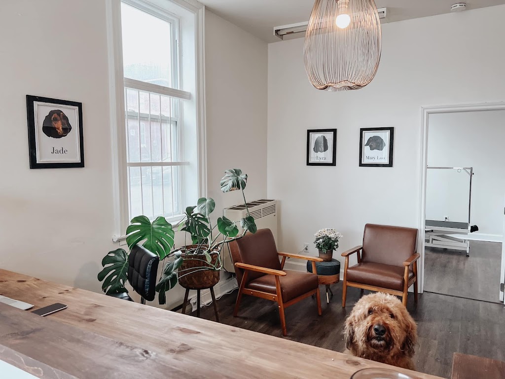 Northumberland Grooming Co. | 26 Victoria Square, Colborne, ON K0K 1S0, Canada | Phone: (905) 269-9882