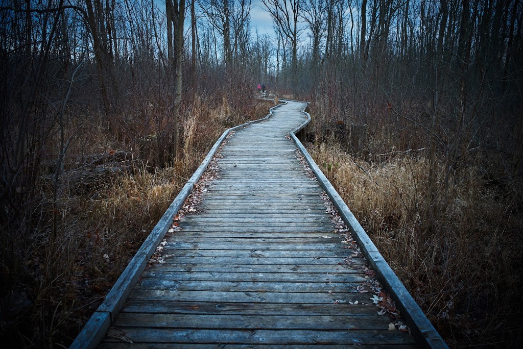Dofasco 2000 Rail Trail | 204 Ridge Rd, Stoney Creek, ON L8J 2W1, Canada