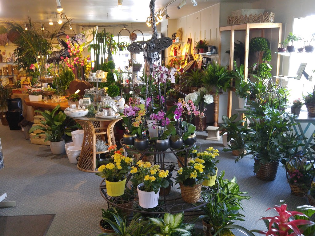 Montes Place Ltd | 1270 Gordon St, Guelph, ON N1L 1H3, Canada | Phone: (519) 836-0163