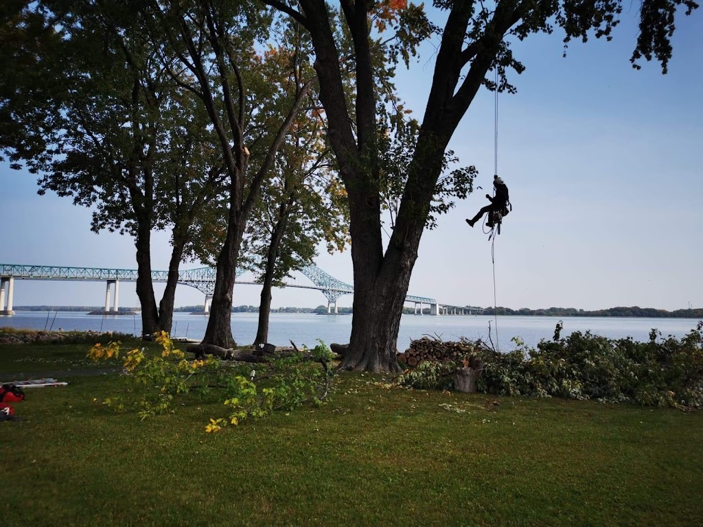 Services D'Arbres Gervais emondage abattage deboisement 500 Rang