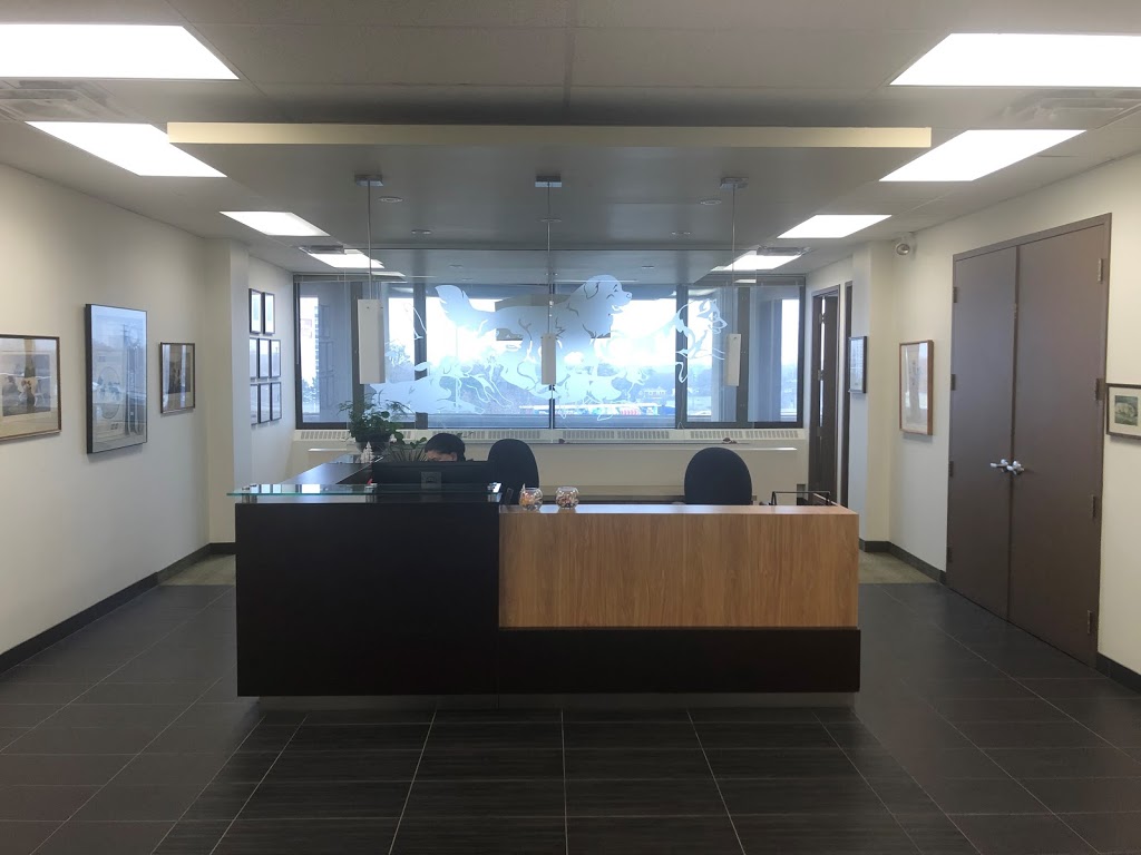 Canadian Kennel Club | 200 Ronson Dr, Etobicoke, ON M9W 5Z9, Canada | Phone: (416) 675-5511