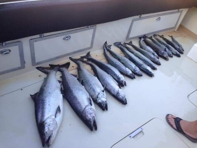 Square Tail Charters | 15 Front St S, Mississauga, ON L5H 2C4, Canada | Phone: (416) 616-4310