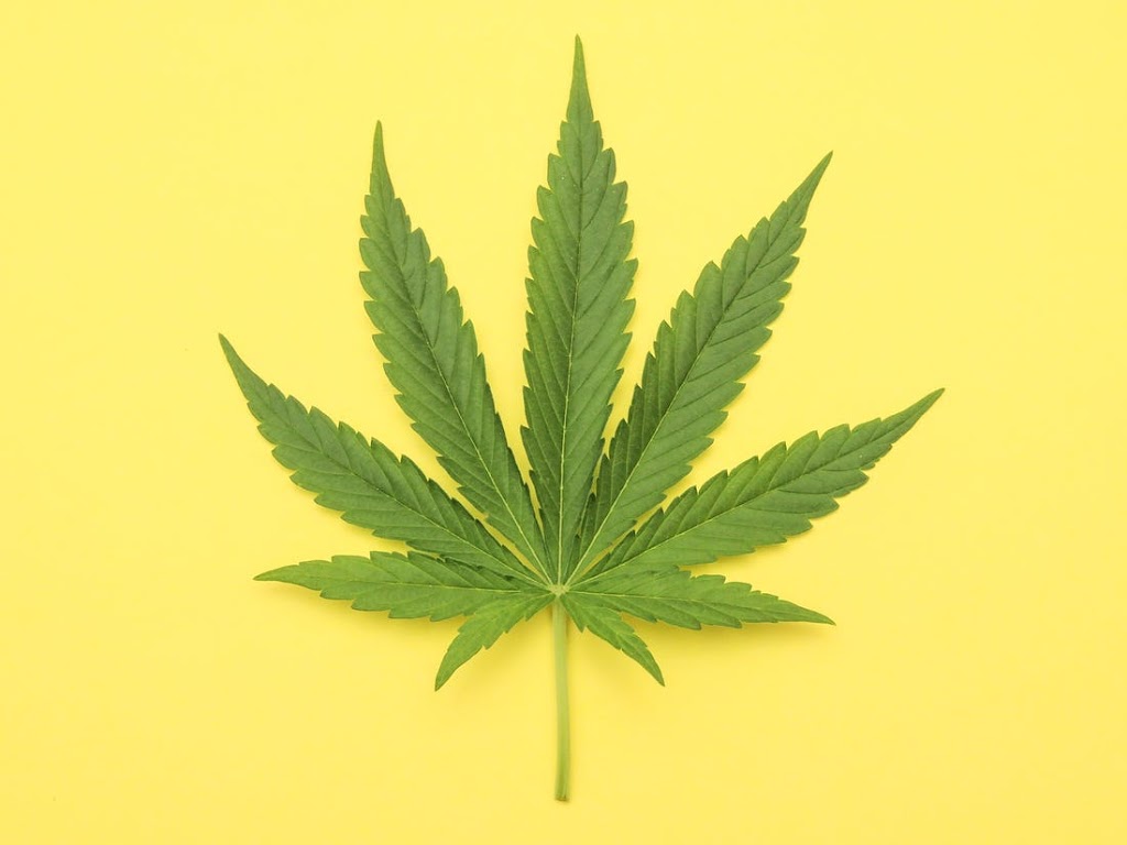 High Quality Weed | Online Store | Hampton, ON L1C 3K2, Canada | Phone: (581) 500-6419