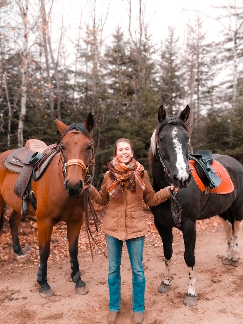Corinne Gadras - Équitation R+ | 35 Rang Petit Fossambault, Pont-Rouge, QC G3H 2L8, Canada | Phone: (581) 984-1154