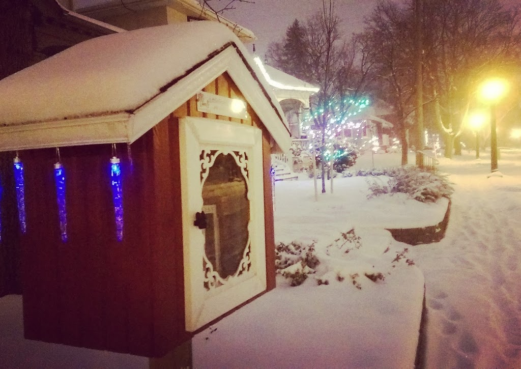 Stanley Little Free Library | 46 Lansdowne Rd S, Cambridge, ON N1S 2T4, Canada