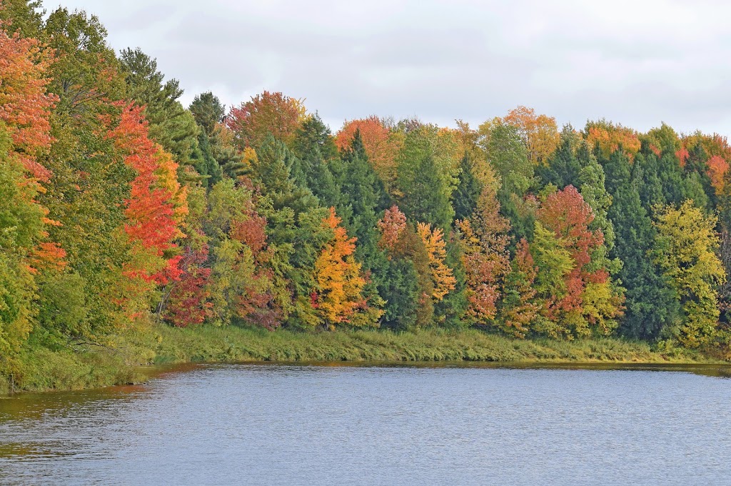 Parc-nature de la MRC dActon | 611 Rang de la Carrière, Upton, QC J0H 2E0, Canada | Phone: (450) 549-5611