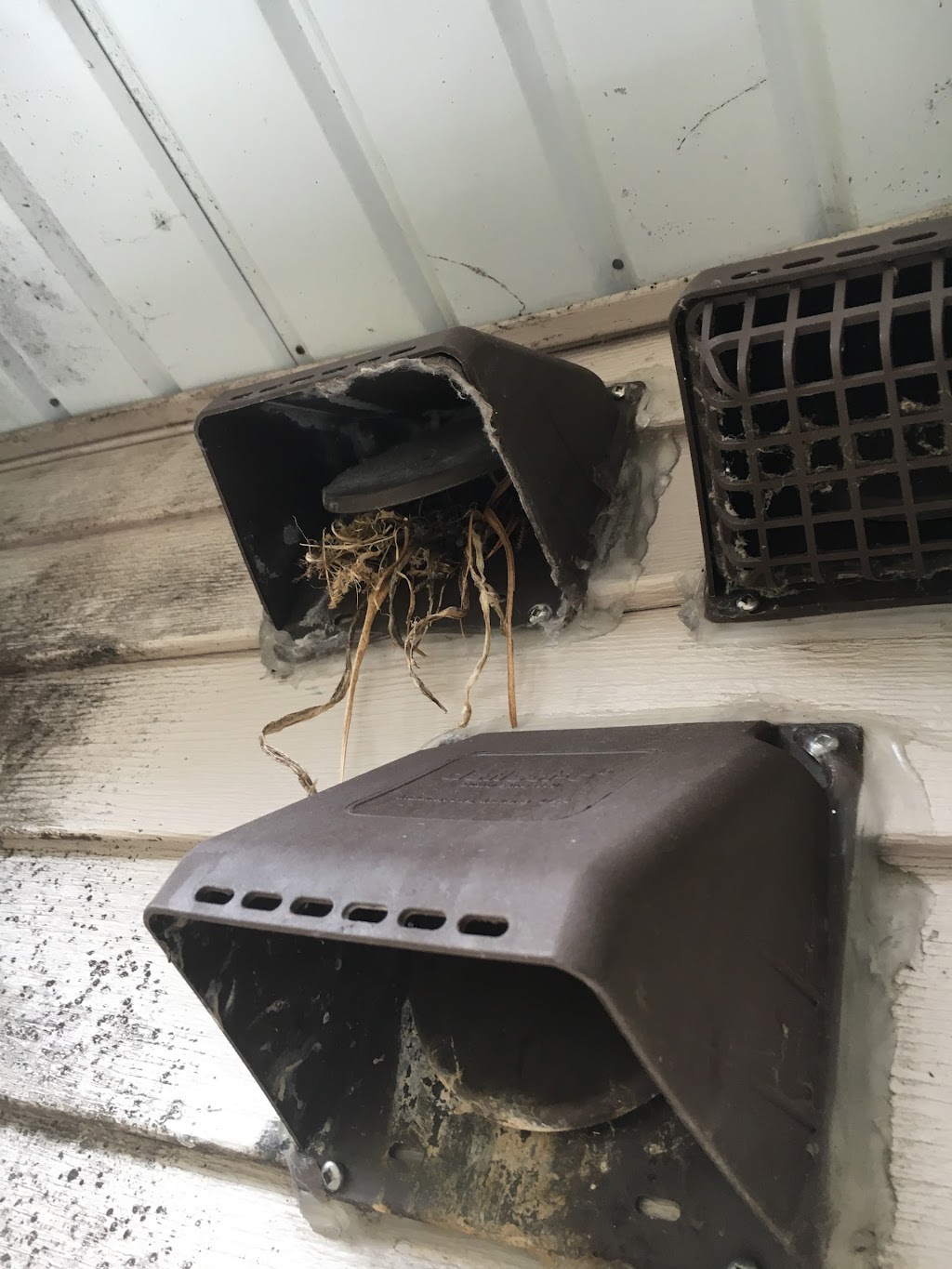 SAFE-D DRYER VENT CLEANING | 60 Kenneth Dr, Beaver Bank, NS B4E 3G7, Canada | Phone: (902) 237-8620
