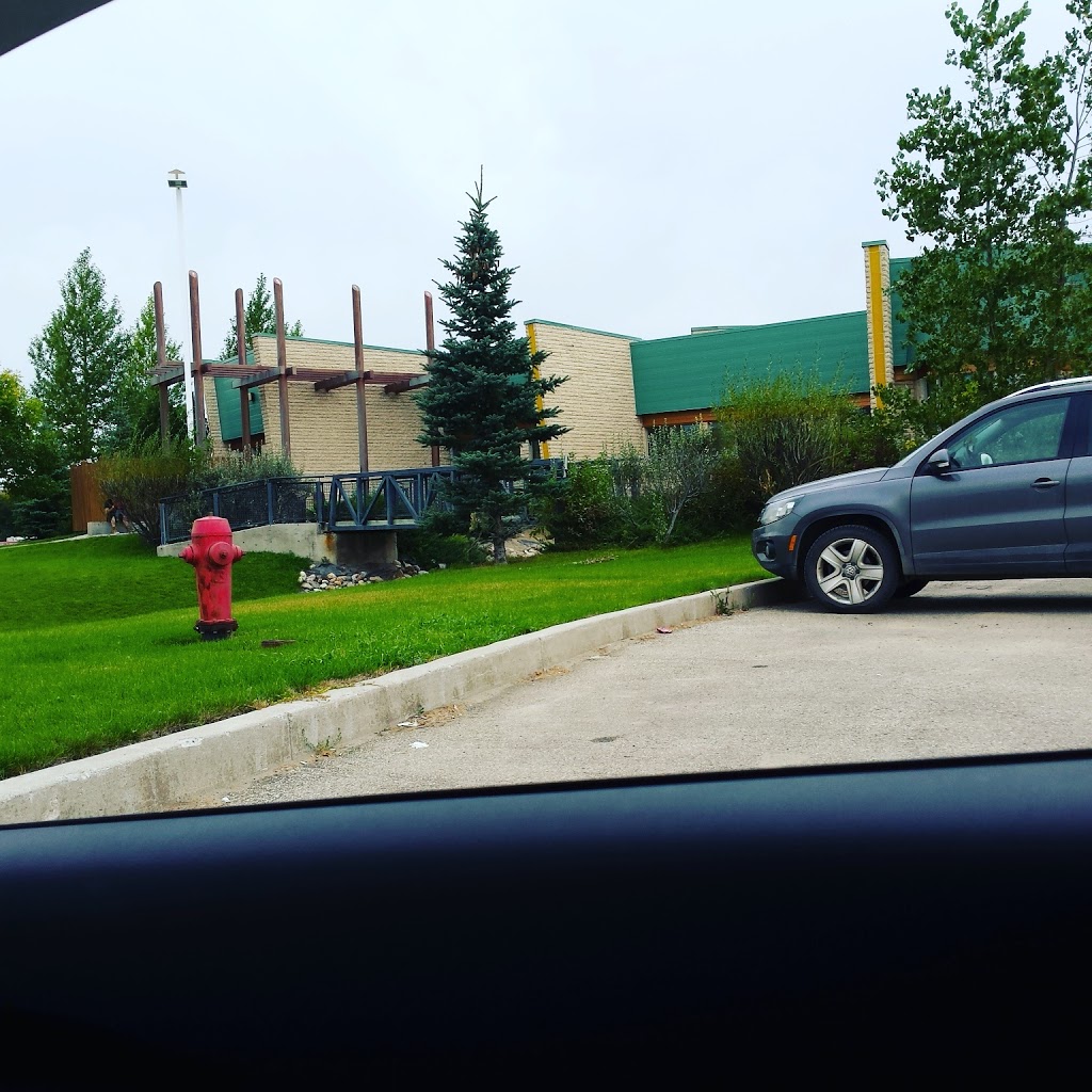 White Raven Healing Centre | 450 8 St, Fort QuAppelle, SK S0G 1S0, Canada | Phone: (866) 748-8922