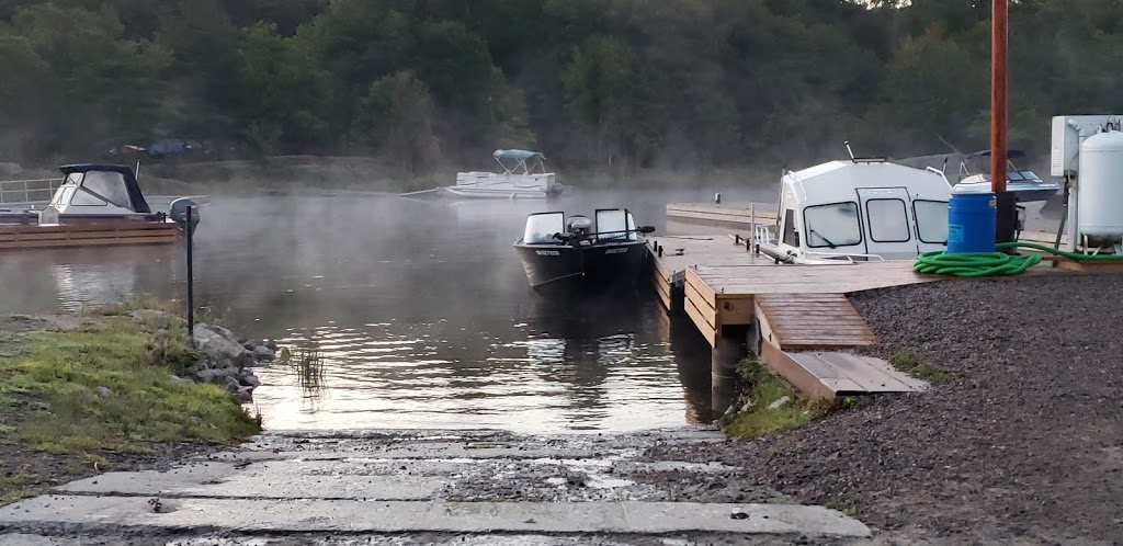 Moon River Marine | 714 Healey Lake Rd, MacTier, ON P0C 1H0, Canada | Phone: (705) 375-2342
