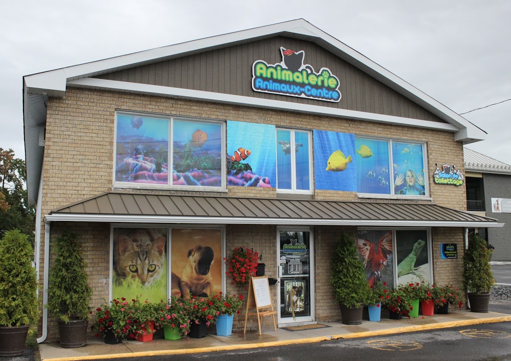 Boutique danimaux Chico Notre-Dame-des-Prairies (Joliette) | 364 Boulevard Antonio-Barrette, Notre-Dame-des-Prairies, QC J6E 1G3, Canada | Phone: (450) 755-4433