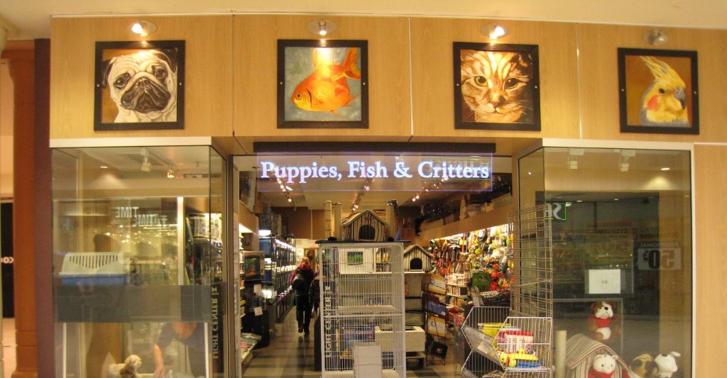 Puppies Fish & Critters | 7019 120 St, Delta, BC V4E 2A9, Canada | Phone: (604) 590-3727