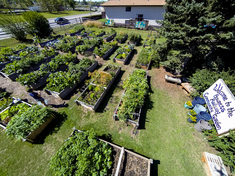 Bowness Railway Community Garden | 6708 Bowness Rd NW, Calgary, AB T3B 0G3, Canada