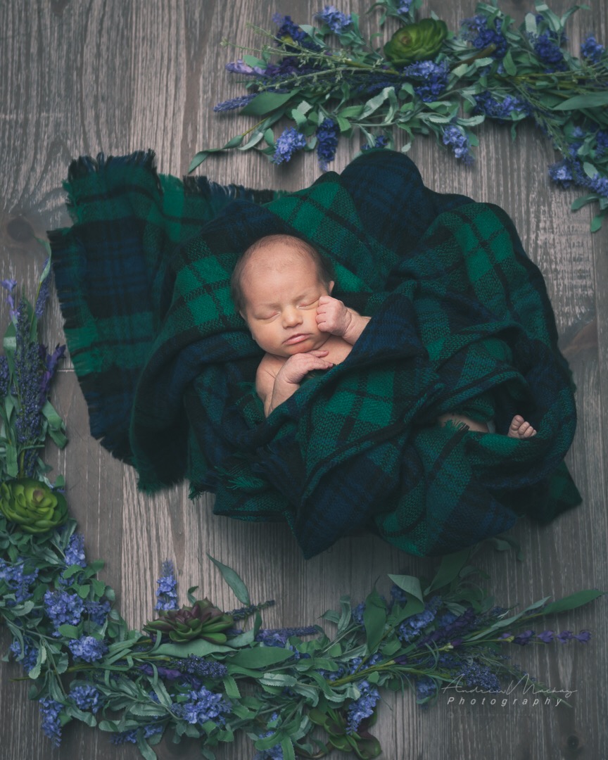 Andrew Mackay Photography | 29 Lazaro Cl, Red Deer, AB T4R 3G7, Canada | Phone: (403) 896-4735