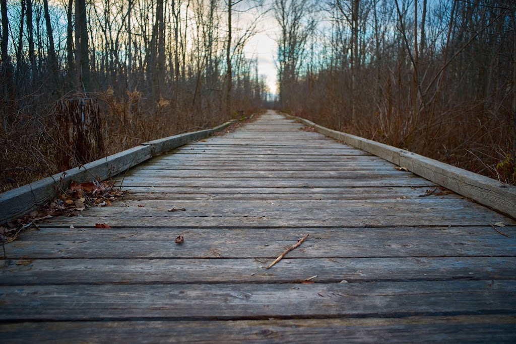 Dofasco 2000 Rail Trail | 204 Ridge Rd, Stoney Creek, ON L8J 2W1, Canada