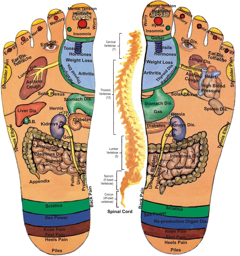 MuDan Natural Health | 384 Yonge St #34, Toronto, ON M5B 1S8, Canada | Phone: (416) 800-9009