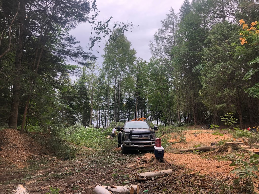 Rockwood Tree Services | 925 Bayly St Unit 28, Pickering, ON L1W 1L4, Canada | Phone: (647) 836-7060