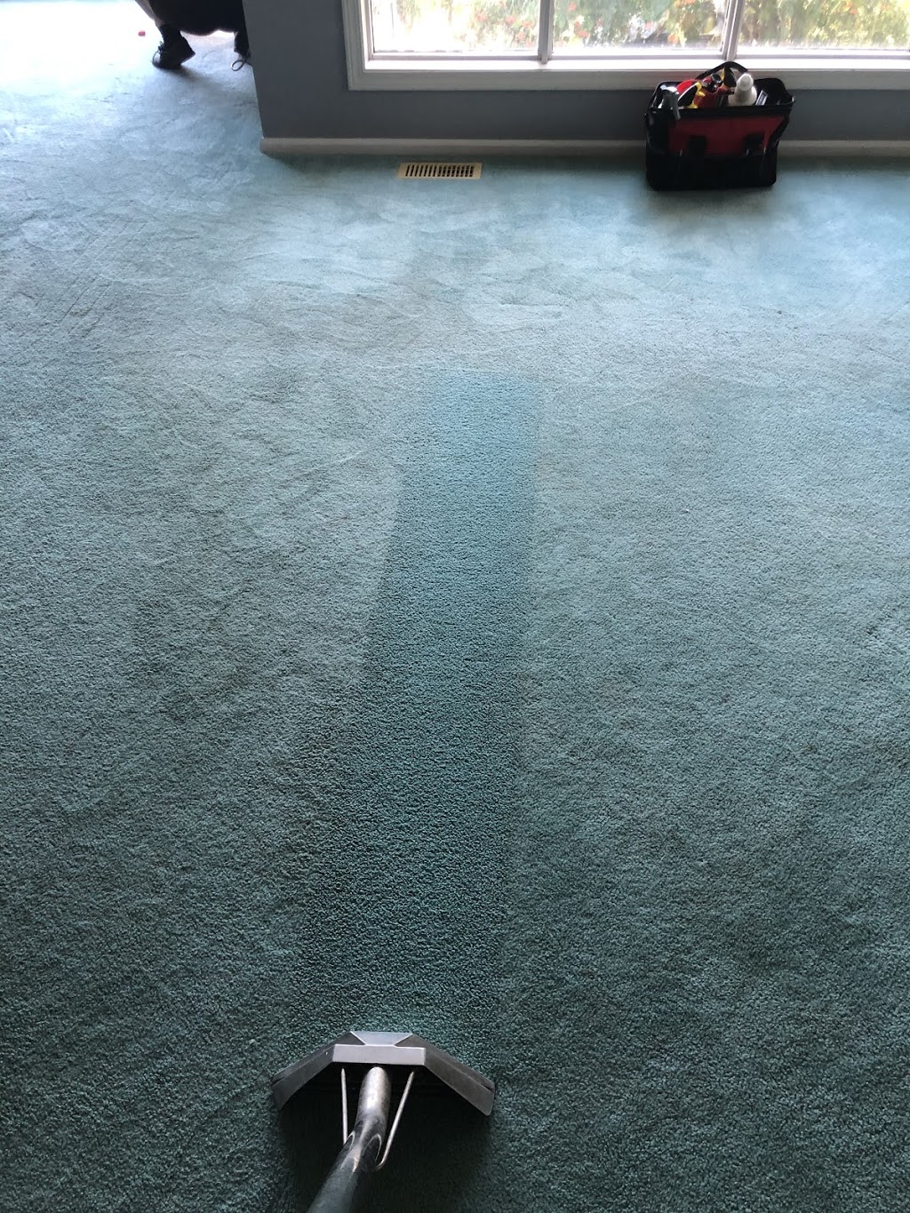Absolute Carpet Care | 1351 15 Ave SE, Salmon Arm, BC V1E 2G5, Canada | Phone: (250) 351-7888