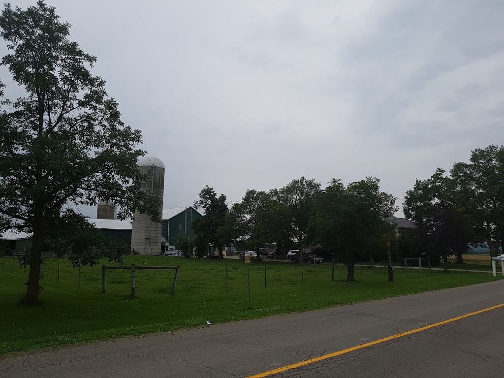 Badlands Brewing Company | 13926 Chinguacousy Rd, Cheltenham, ON L7C 1Z3, Canada