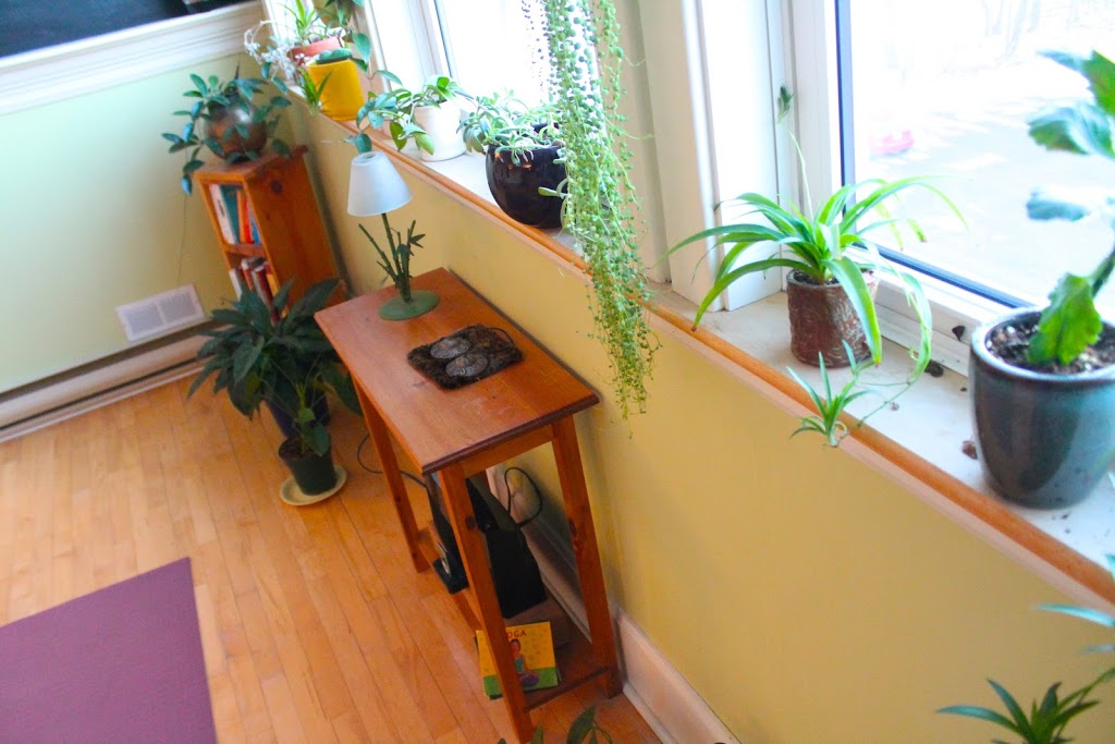 Nava Yoga | Third Floor, Unit E, 131 Main St, Sackville, NB E4L 4B2, Canada | Phone: (506) 940-0965
