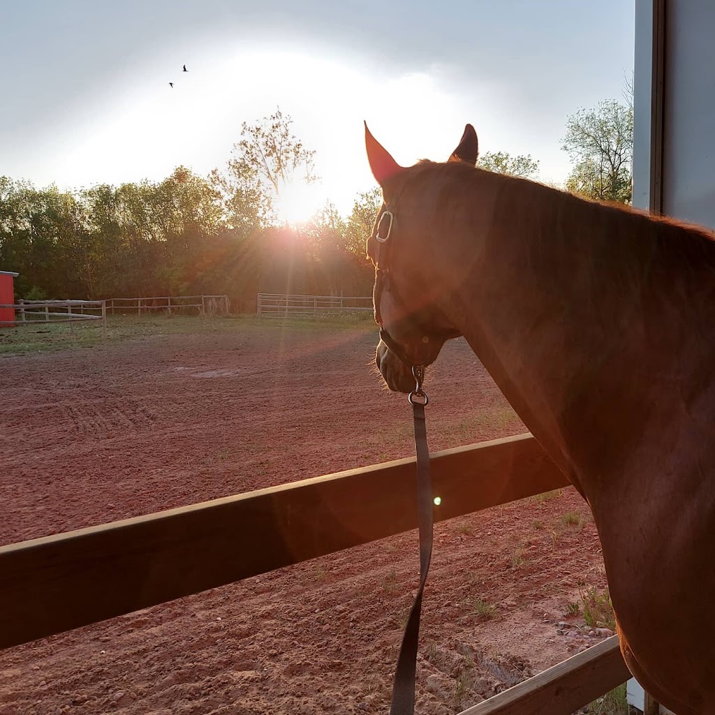 Rintoul Stables & Therapeutic Riding Center | SE 323823 West, Humboldt, SK S0K 2A0, Canada | Phone: (306) 231-4328