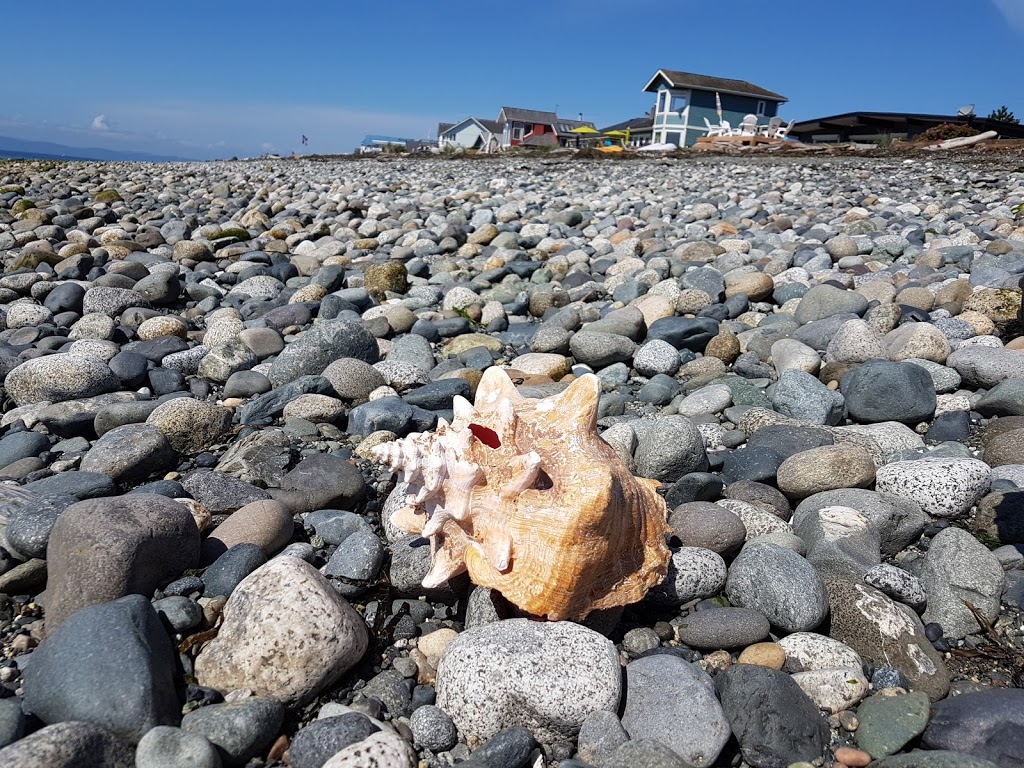 Point Roberts Rentals | 1459 Edwards Dr # 5, Point Roberts, WA 98281, USA