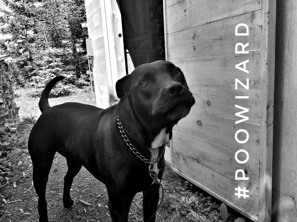 Poo Wizard | 18 Talon Ct, Truro, NS B2N 7B4, Canada | Phone: (902) 890-7250