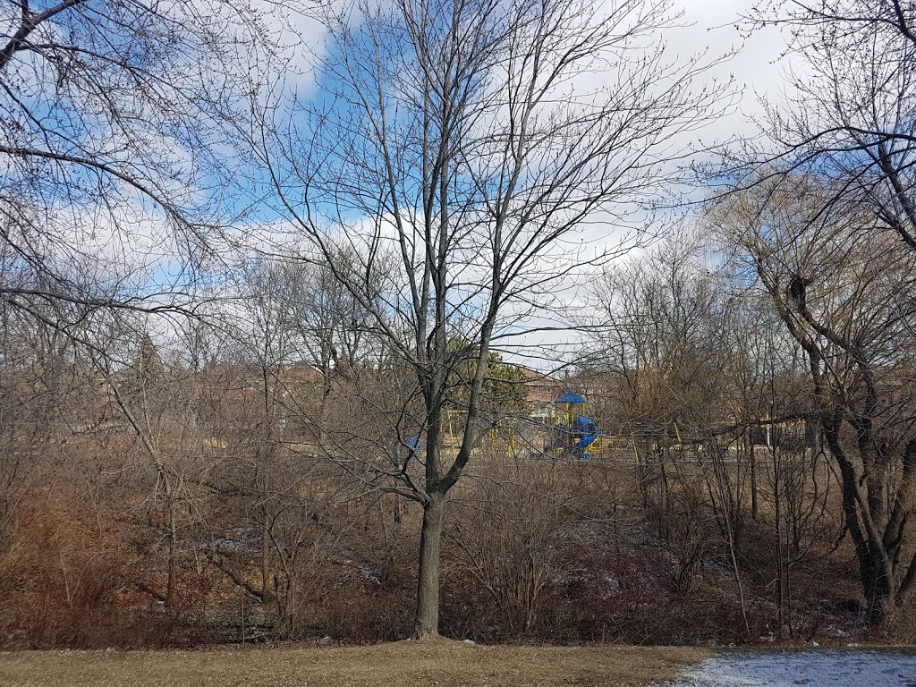 Lascelles Park | 11 Lascelles Blvd, Brampton, ON L6S 3T4, Canada