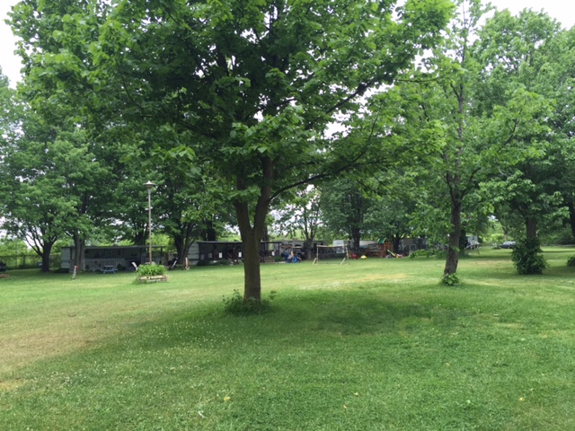 Pleasant Beach Campground | 342 Pleasant Beach Rd, Sherkston, ON L0S 1R0, Canada | Phone: (905) 894-4249