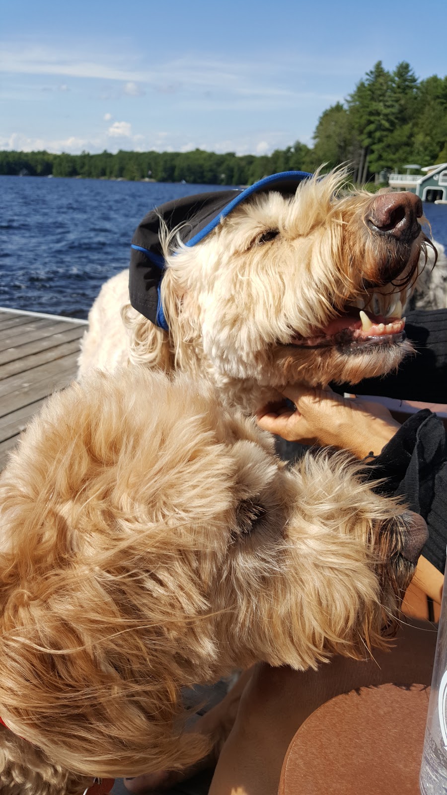 Campbells Landing Marina Limited | 1956 Muskoka District Road 169, Gravenhurst, ON P1P 1R2, Canada | Phone: (705) 687-3821
