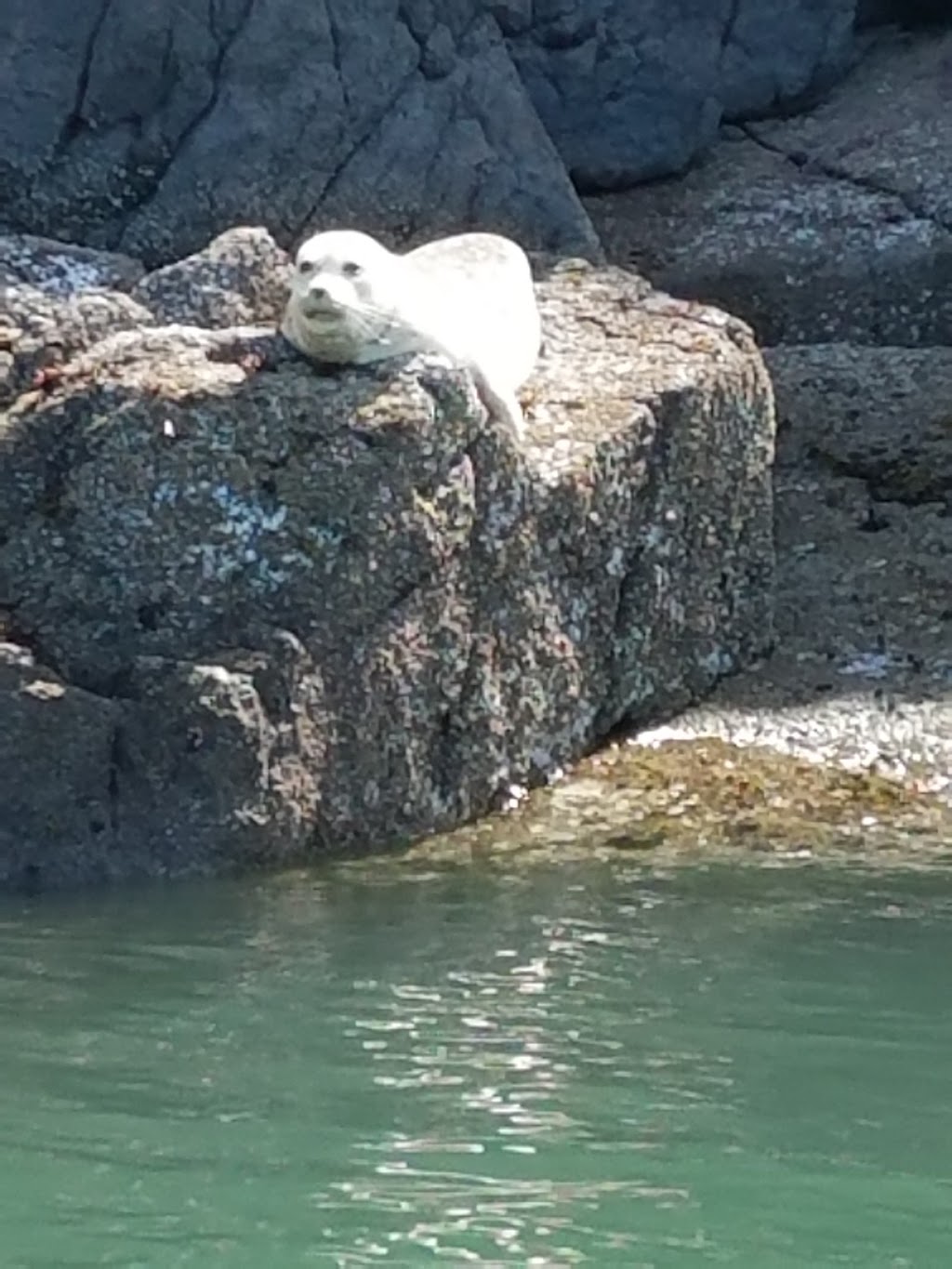 Saddlebag Island State Park | Anacortes, WA 98221, USA | Phone: (360) 376-2073