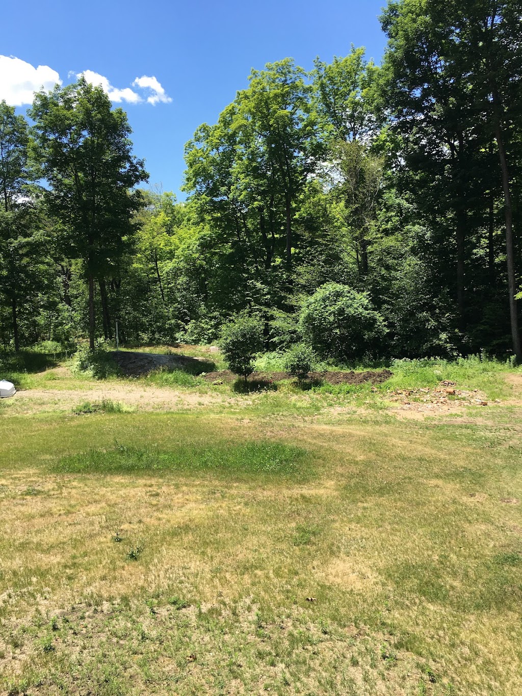 Mountain Road Homestead - Forest and Garden School | 1091 Dickson Rd, Renfrew, ON K7V 3Z4, Canada | Phone: (613) 858-1254