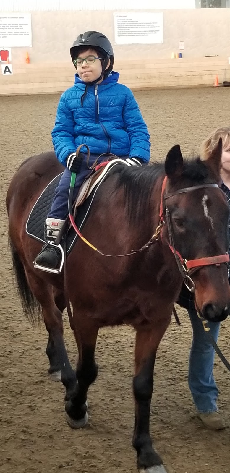 Little Bits Therapeutic Riding Association | 12510 Keillor Rd NW, Edmonton, AB T6G 2L6, Canada | Phone: (780) 476-1233