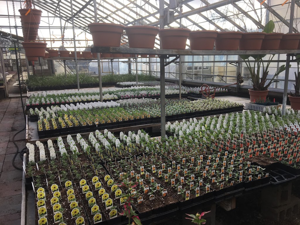 Sebringville Garden Centre | 137 Huron Rd, Stratford, ON N5A 6S6, Canada | Phone: (519) 393-6131