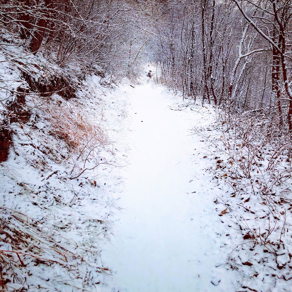 Douglas Fir Trail (east) | 175 Bow River Pathway, Calgary, AB T3C 3A6, Canada