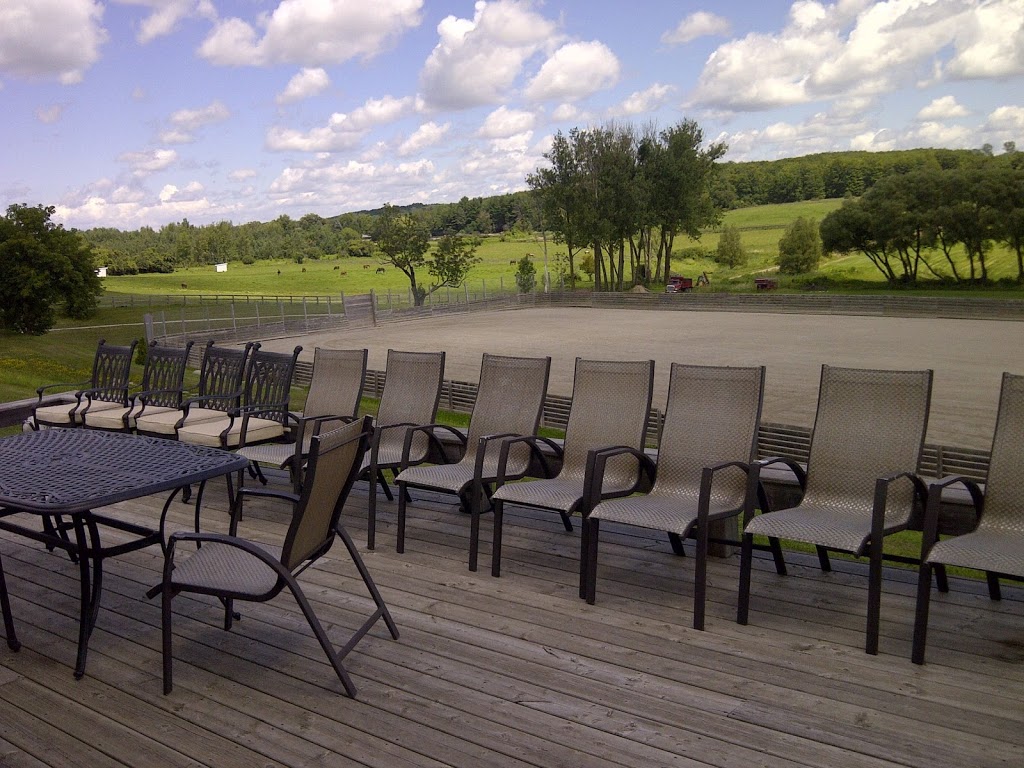 Polo Management Services | 16555 Keele St, Kettleby, ON L7B 0G1, Canada | Phone: (905) 727-6996