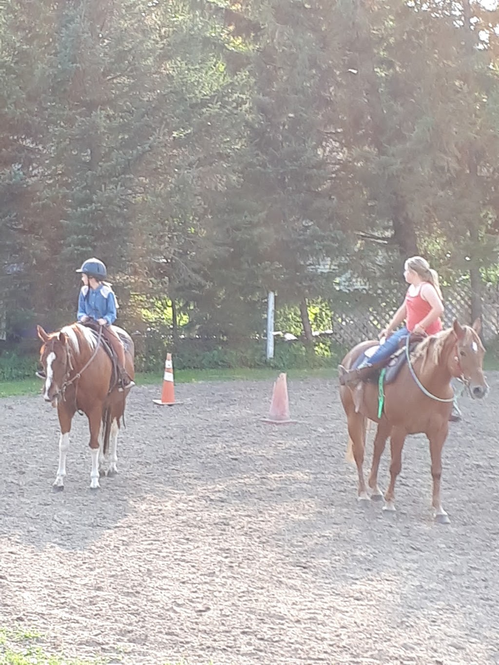 Ferme Fleuviale Inc | 378 Rue Principale, Saint-Vallier, QC G0R 4J0, Canada | Phone: (450) 639-0673