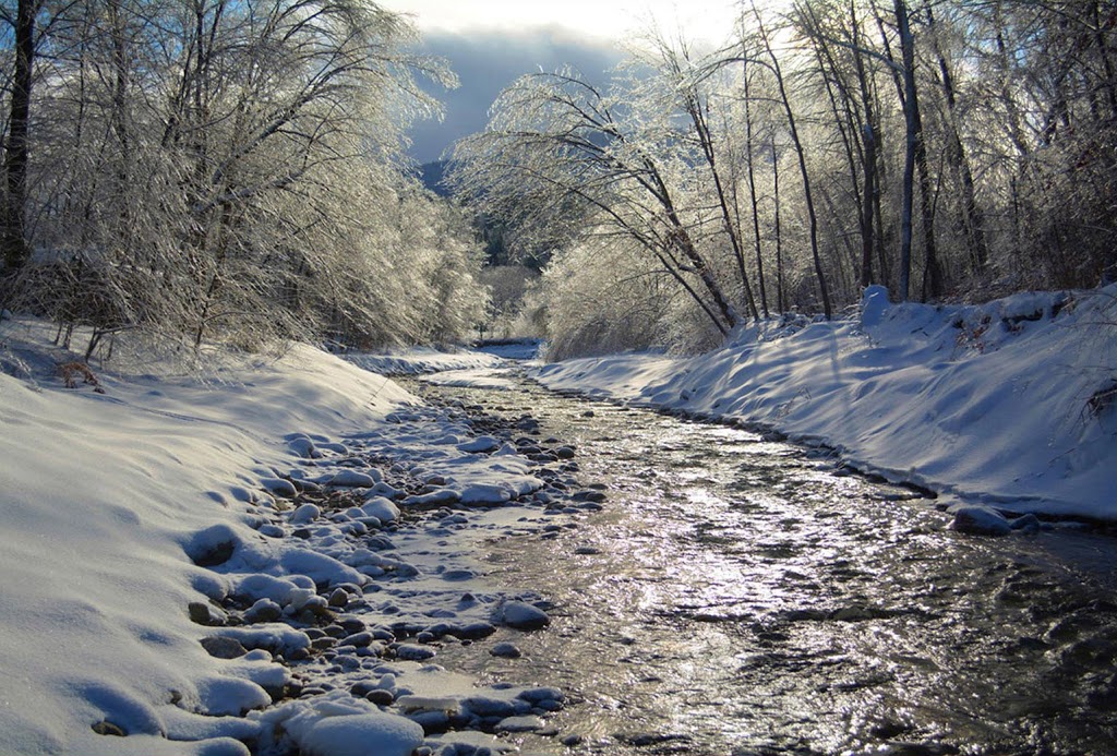 Chalets Romantiques | 766 Chemin Burnett, Sutton, QC J0E 2K0, Canada | Phone: (450) 538-0731