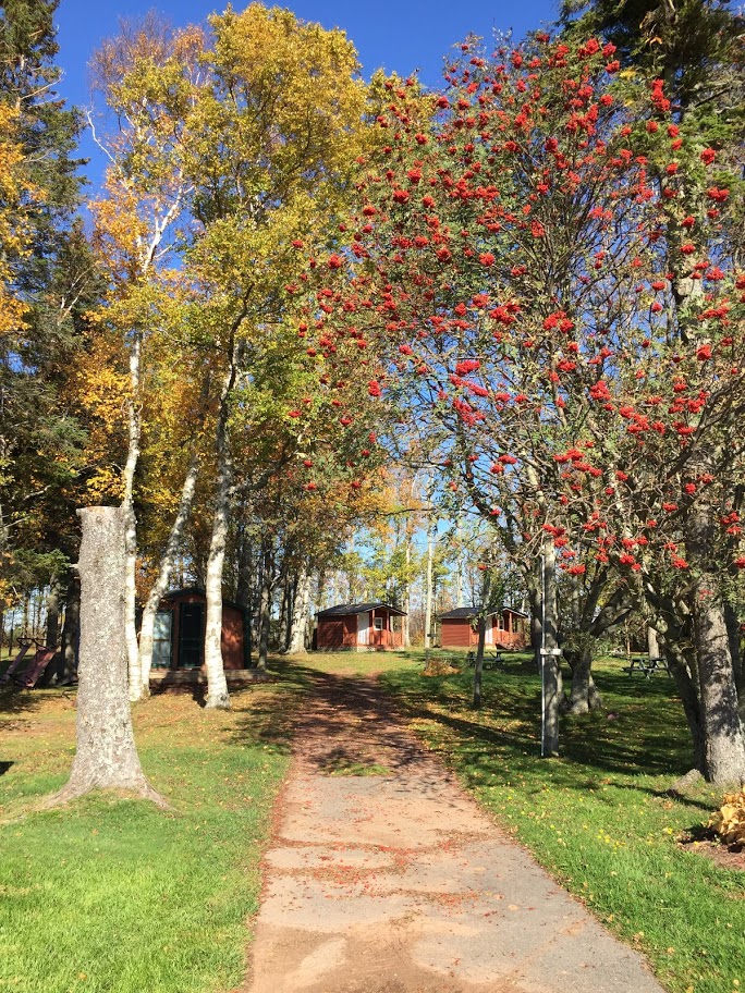 Borden / Summerside KOA Journey | 23714 Trans-Canada Hwy, Borden-Carleton, PE C0B 1X0, Canada | Phone: (902) 855-3492