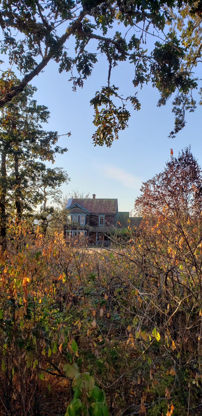 Elkington House - Oak Park | 1241 Maple Bay Rd, Duncan, BC V9L 5R9, Canada | Phone: (250) 746-6612