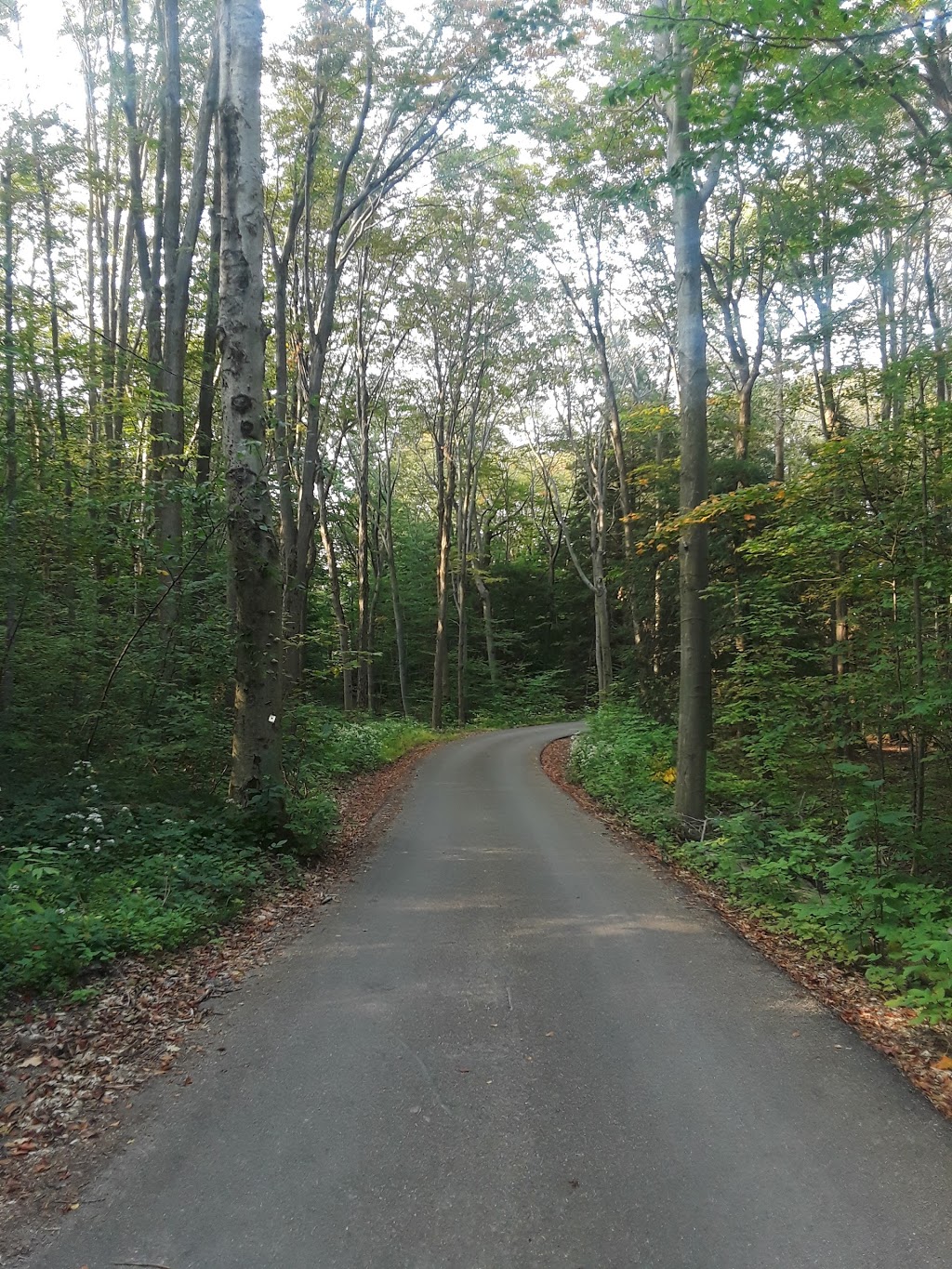 Chestnut Ridge Park Commissioners Cabin | Orchard Park, NY 14127, USA | Phone: (716) 858-8513